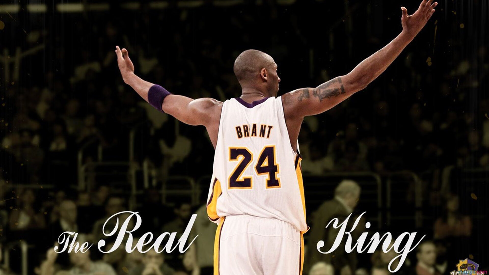 【运动员故事】马克·塞尔比:用坚韧铺就冠军道路,马克塞尔比训练